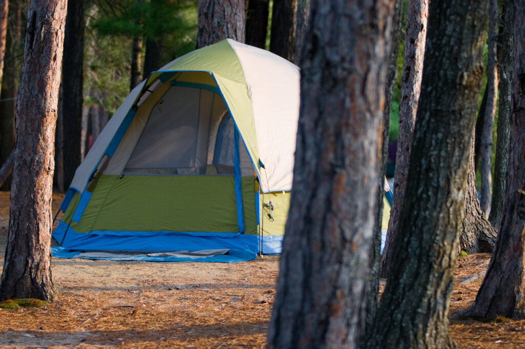 Homeless pair caught camping and leaving garbage on horticultural property