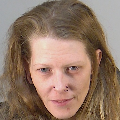 Leesburg woman arrested after allegedly striking her brother - Leesburg ...